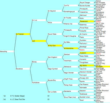 Weekly pedigrees from the Past - Thoroughbred Breeding - RaceCafe NZ's ...
