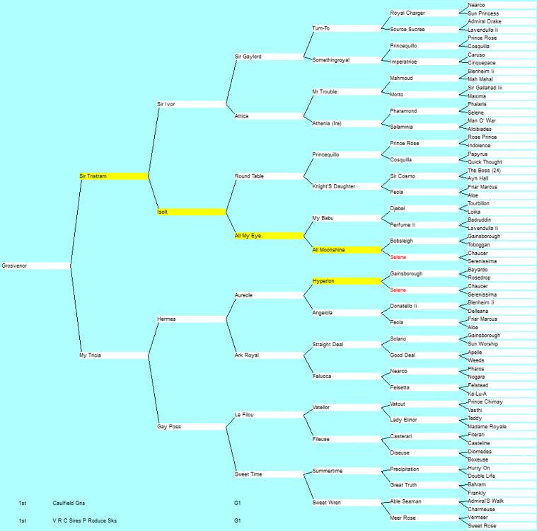 grosvenor.thumb.png.2820a3a7efc9518c9bbc434986e70f8e.png