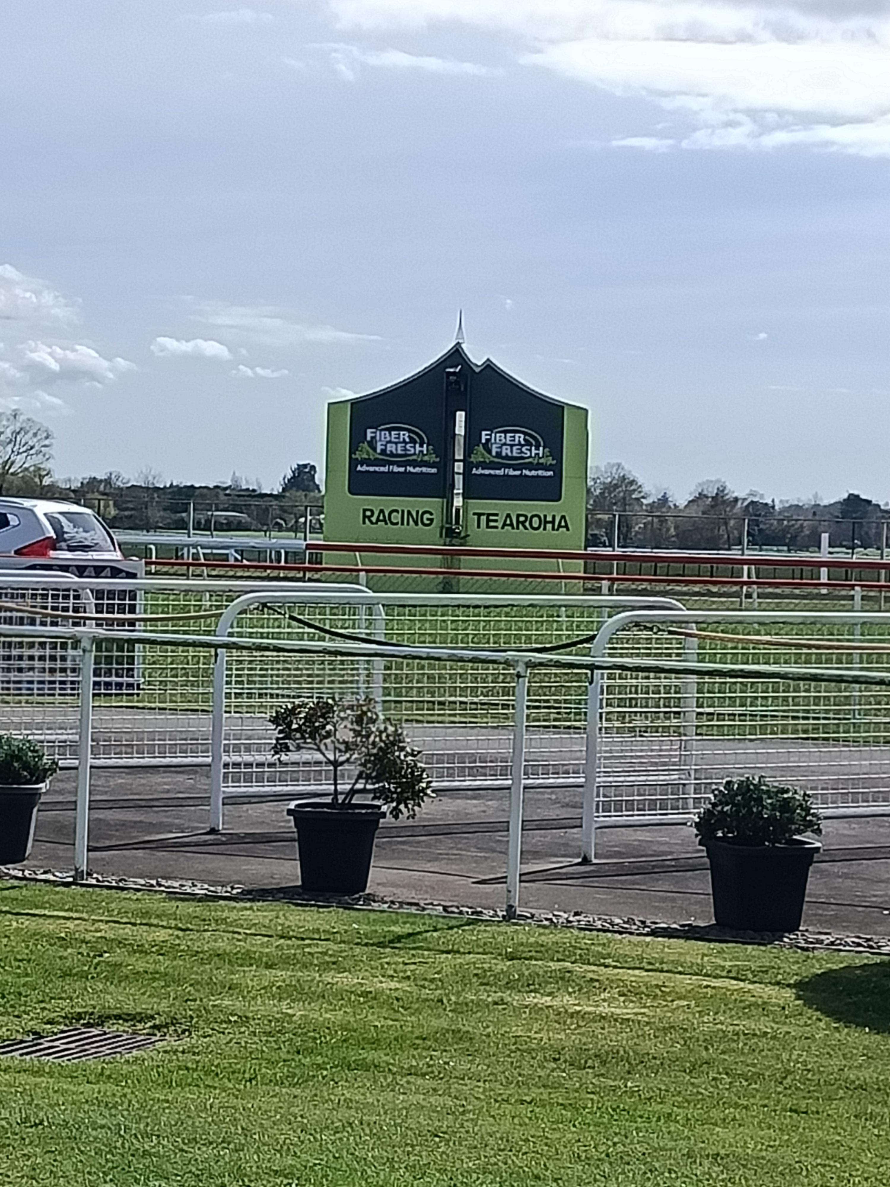 Te Aroha Thoroughbred Cafe RaceCafe NZ's Premier Racing Community