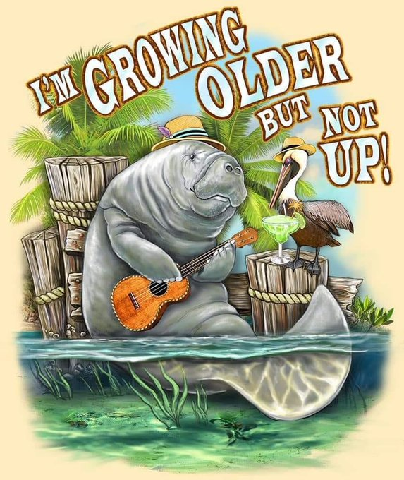 image.png.e00596202bc57c7593f8f174ccf2deb8.png