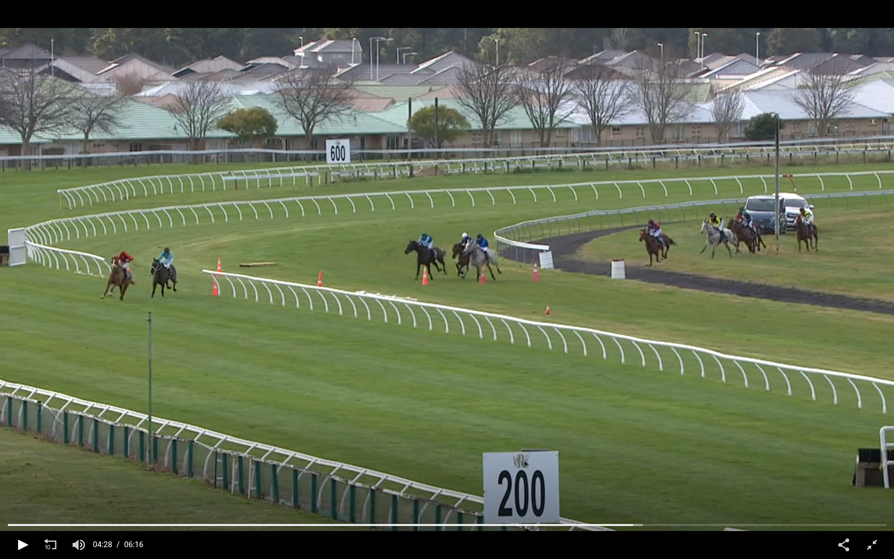 Wellington Steeplechase Trackside Coverage - Page 2 - Thoroughbred Cafe ...