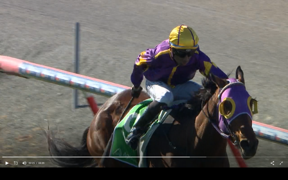 Changes To Whip Rules - Page 23 - Thoroughbred Cafe - RaceCafe NZ's ...