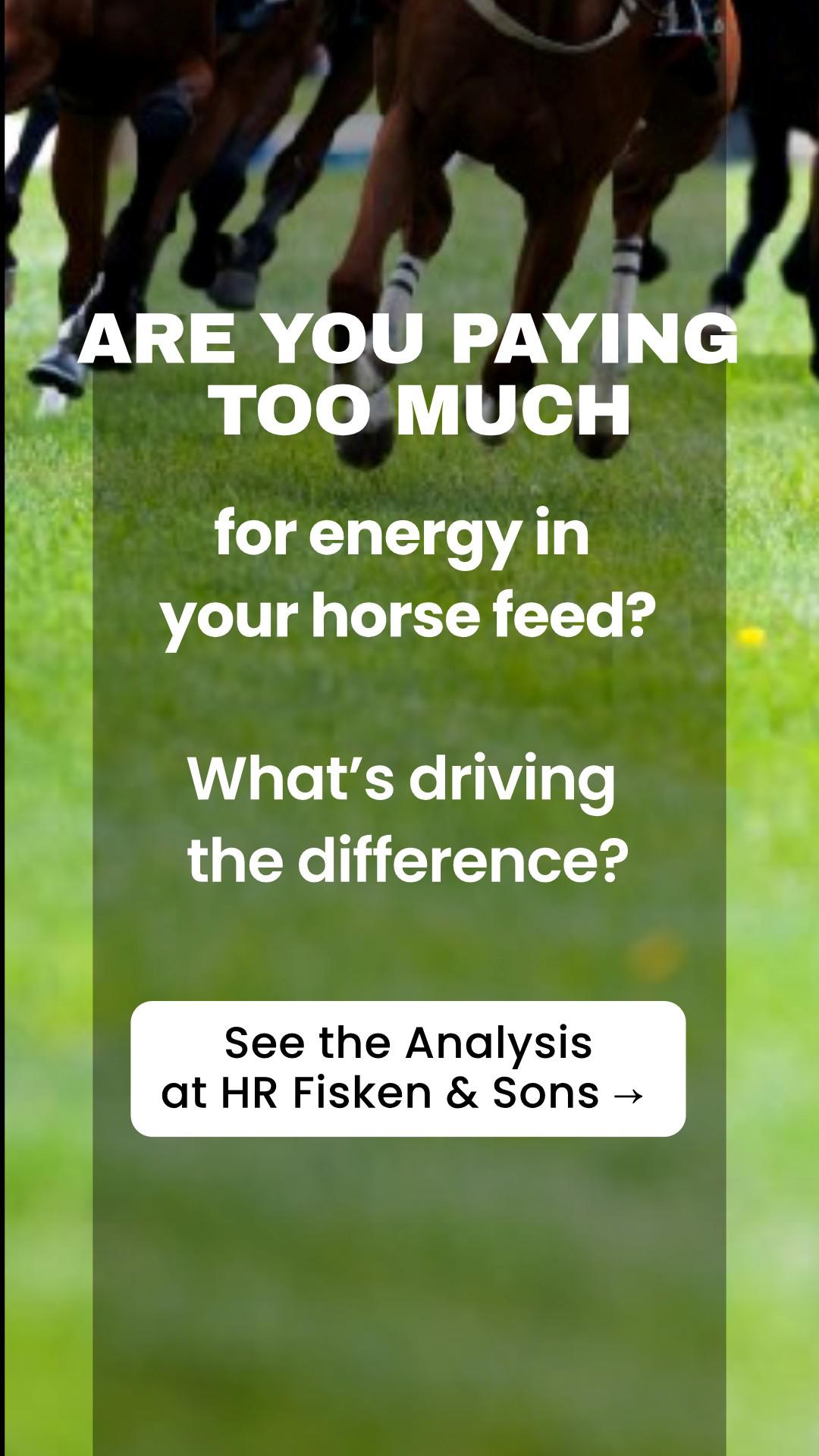 Fiskens Feeds - See The Horse Feed Analysis